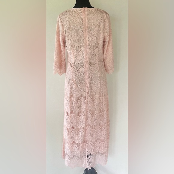 DAINTY JEWELL’S Pink Lace A-Line Midi Dress Size M Fairy Girlhoodcore Romantic - Picture 3 of 12